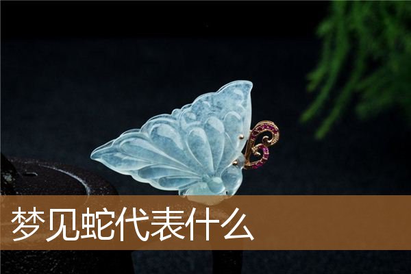 梦见蛇代表什么寓意（男人梦见蛇是什么兆头）