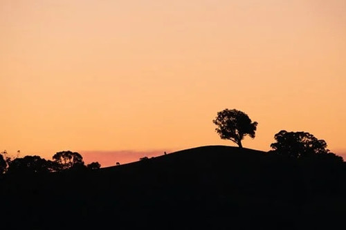 2021年下半年转好运的星座（2023年运气特别好星座女）