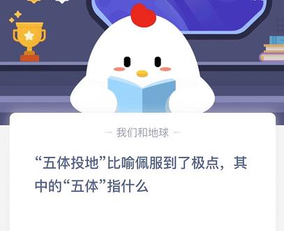 五体投地的五体指什么生肖（五体投地的五体指什么生肖）