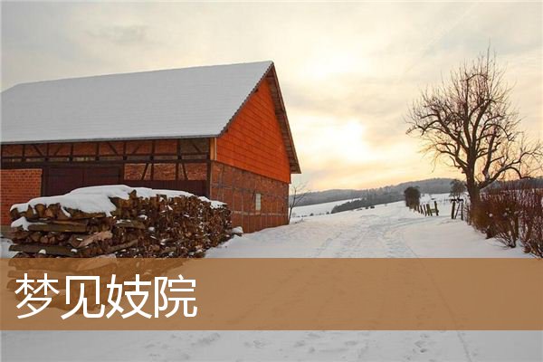 做梦梦见妓院（梦见很多人卖婬女解梦）