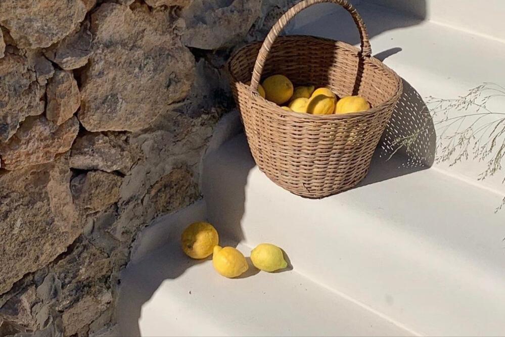 最强大的三个上升星座是，哪个上升星座最聪明