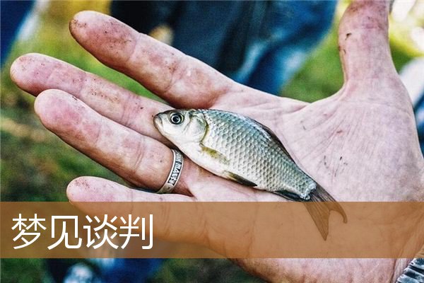 梦见谈判是什么意思（梦见协商事情）