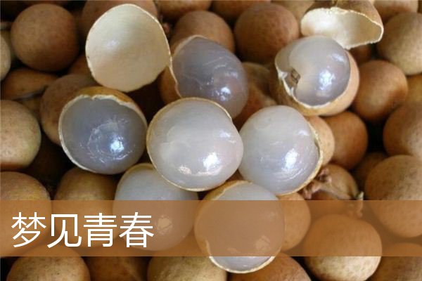梦见青春期喜欢的人（梦见青春期喜欢的人）