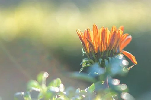 最有原则和底线的星座（有原则有底线的女人性格）