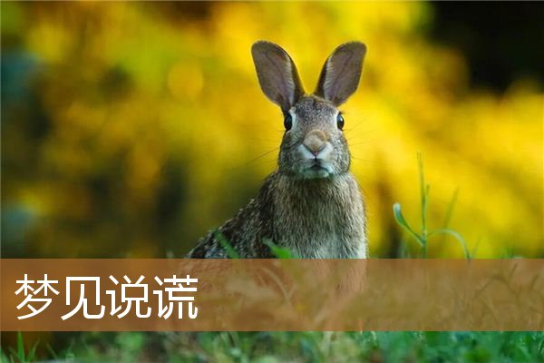 梦见说谎被拆穿（梦到自己说谎骗别人）