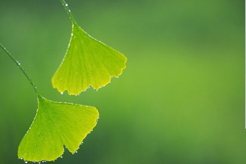 2021射手座下半年运势（射手座女2021年的感情劫）