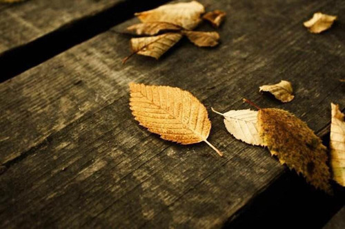 水瓶座2020年事业运（水瓶座事业最佳搭档）