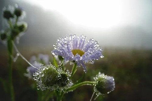 2021年摩羯座感情劫难（摩羯座2021年必经的感情劫）