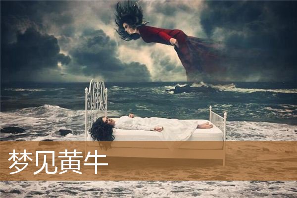 梦见黄牛有什么兆头（男人梦到黄牛是什么征兆）