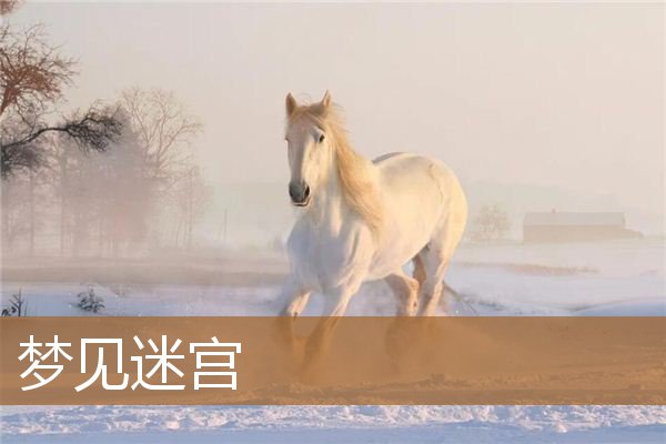 梦见迷宫走不出去（梦见绕来绕去找不到出路）