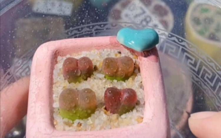 塔罗占卜，他心里真的放下你了吗