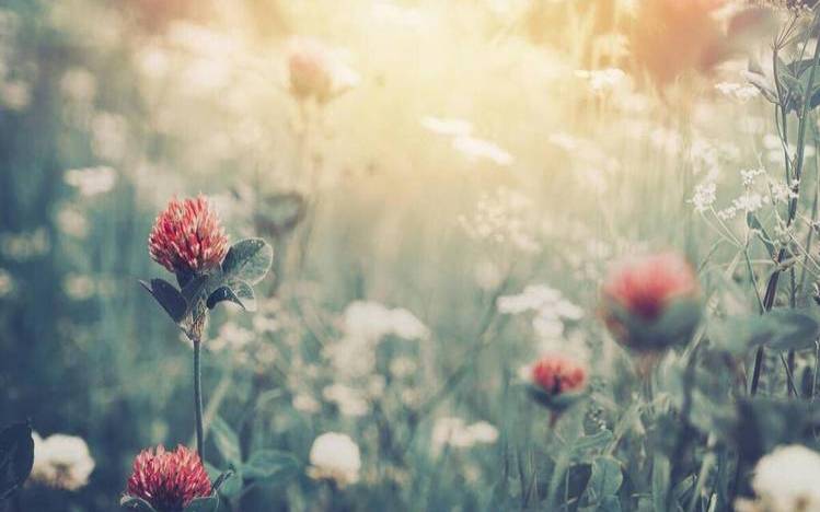 可能会背叛友情的星座