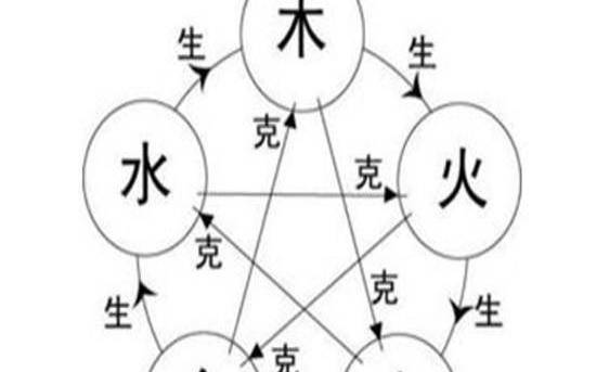 1987年属什么生肖，揭秘兔子生肖的性格特点