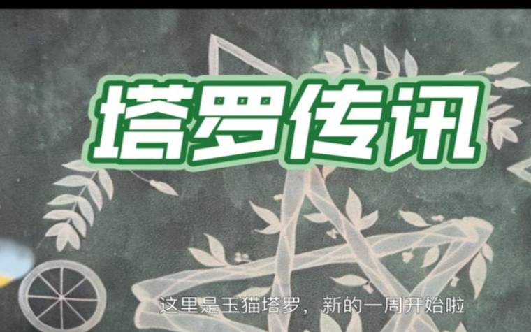 塔罗当下坚持的事情是否正确