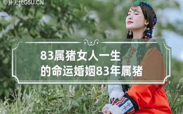 属猪人的婚姻与命运好吗