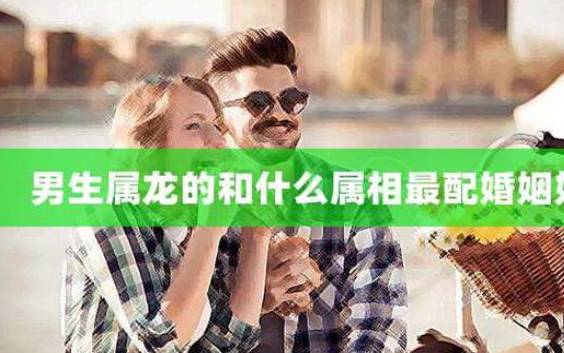 属龙的人不宜和什么属相结婚