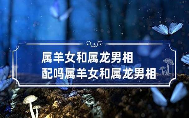 属羊男人的优点介绍 属羊男人的优点介绍