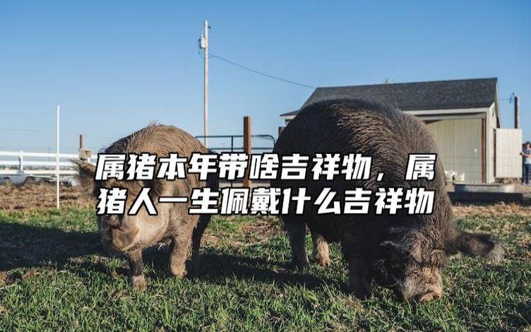 生肖猪什么时候最倒霉 生肖猪什么时候最倒霉