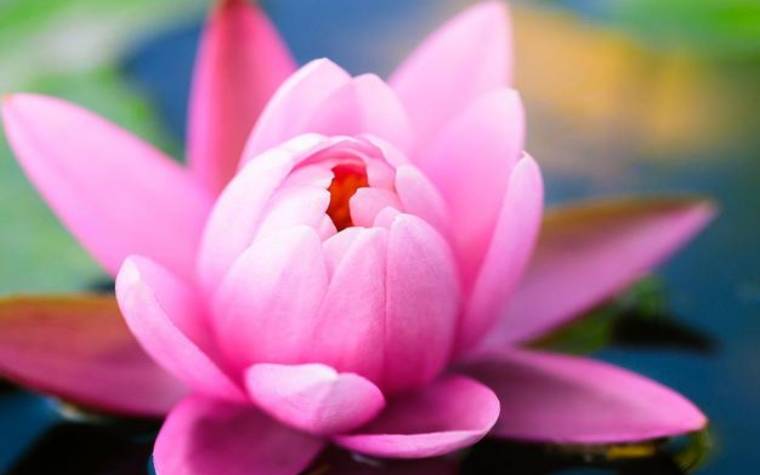 天蝎射手座的双重性格，天蝎射手座性格分析