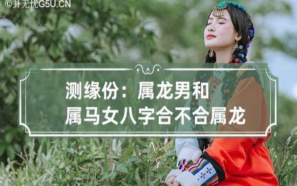 属马与属龙相配吗