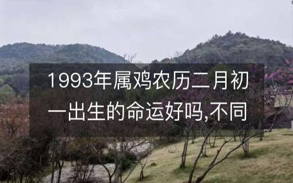 夏天出生的属鸡人命运分析 夏天出生的属鸡人命运分析