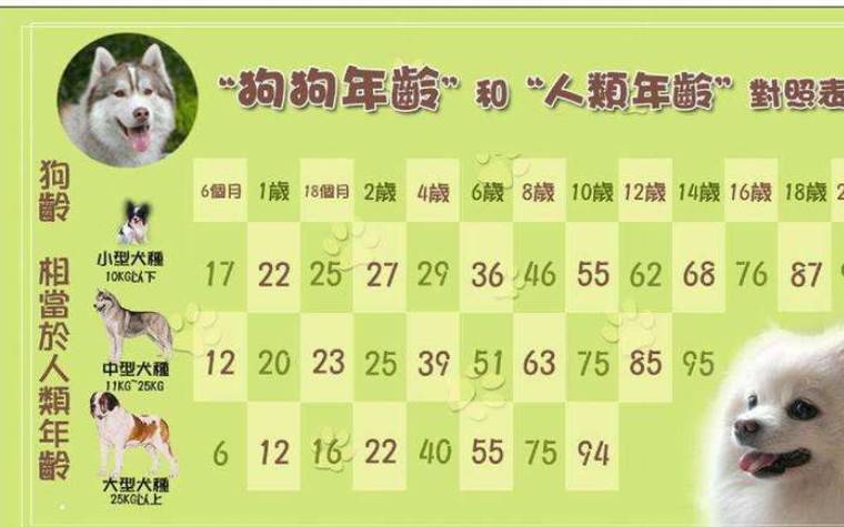 属狗的今年多大 属狗的今年多大