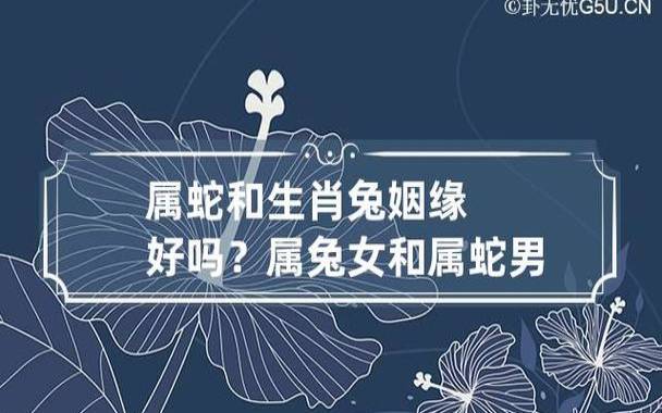 与属蛇相配的属相有哪些 与属蛇相配的属相有哪些