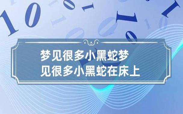 梦见家里有条黑蛇 梦见家里有条黑蛇