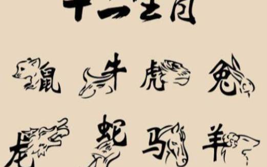 属马的今年多大 属马的今年多大