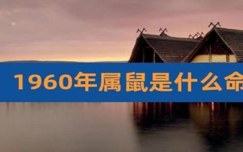 1996年属鼠人一生命运如何,96年出生的属鼠人婚姻分析 1996年属鼠人一生命运如何,96年出生的属鼠人婚姻分析