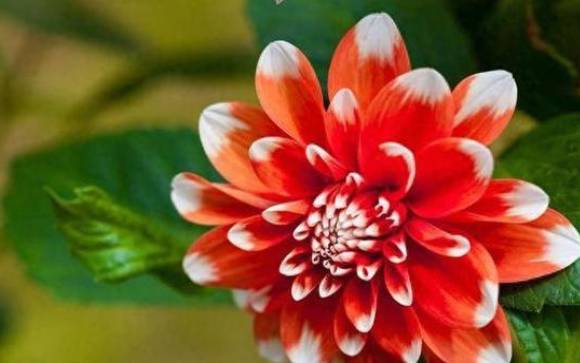 9月你会迎来什么好运呢 9月你会迎来什么好运呢