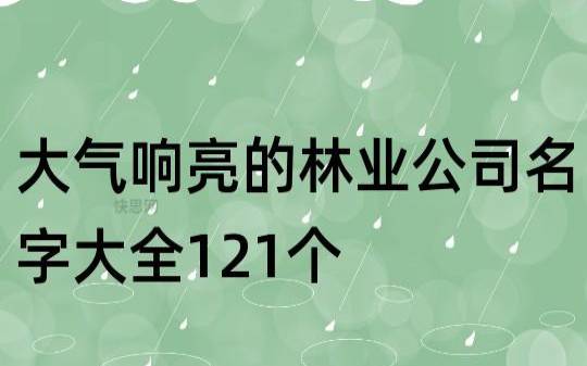 两个字科技公司名称简单大气,简单大气的名字 两个字科技公司名称简单大气,简单大气的名字
