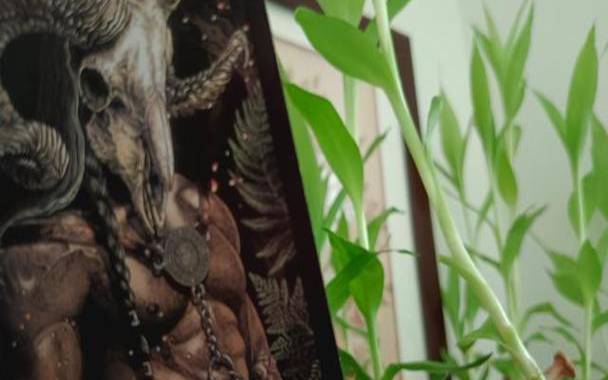 塔罗牌恶魔正位感情发展，恶魔正位感情结果怎么样