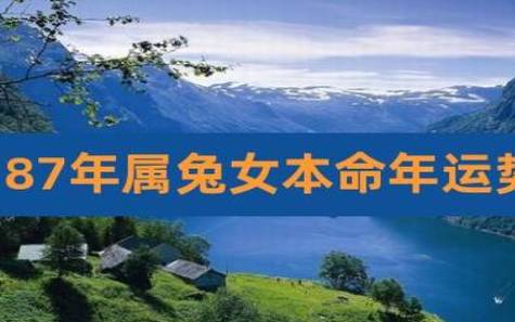 1987年属兔女2024年的运势
