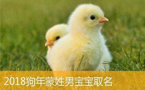 生于2023年大年初六的宝宝小名,幸福可爱的小名推荐 生于2023年大年初六的宝宝小名,幸福可爱的小名推荐