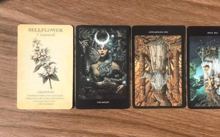 教皇逆位复合,谁会先主动呢 教皇逆位复合,谁会先主动呢