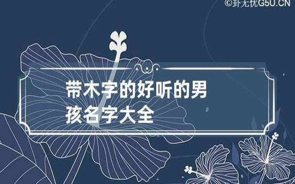 生辰八字起名,男孩属木的名字大全 生辰八字起名,男孩属木的名字大全