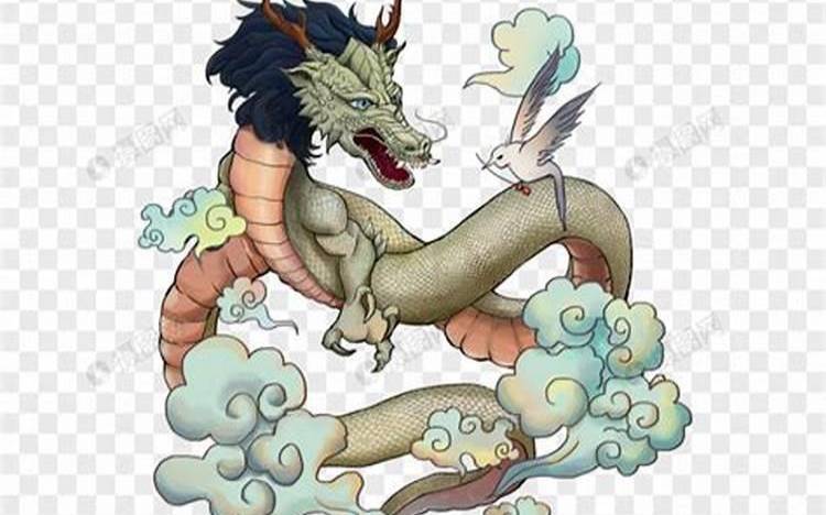 花花公子是哪个生肖，十二生肖中的花花公子