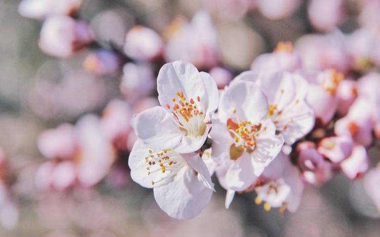 水瓶座理想中的妻子，水瓶座男生