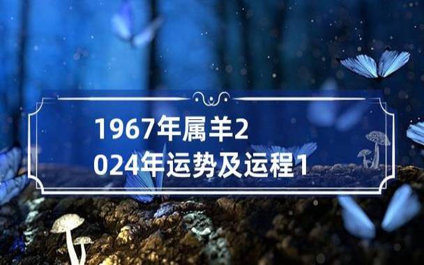 属羊人2024年11月运势