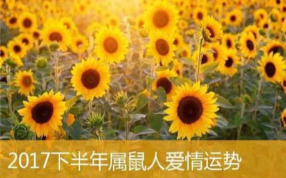 1972年属鼠的女人在2025年运势 1972年属鼠的女人在2025年运势