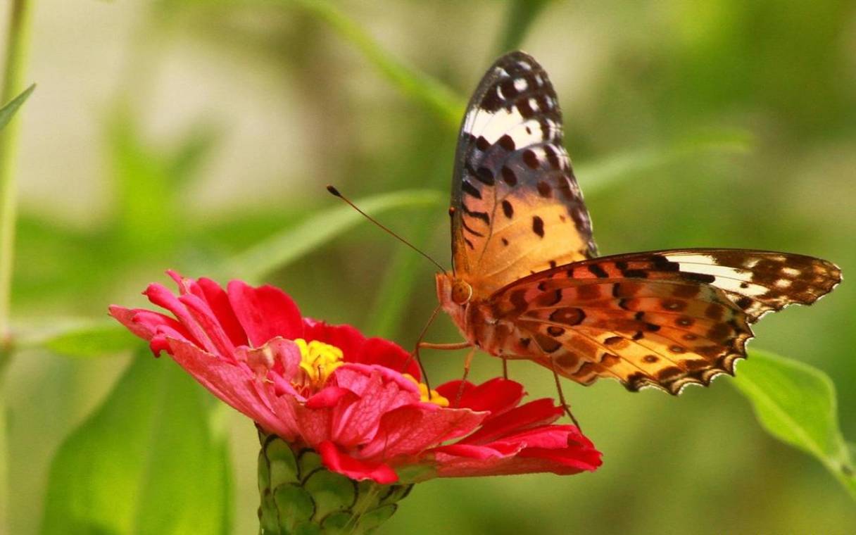 看你这一生有没有富贵命 看你这一生有没有富贵命