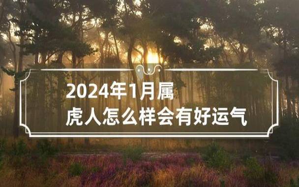 属虎人2024年11月运势