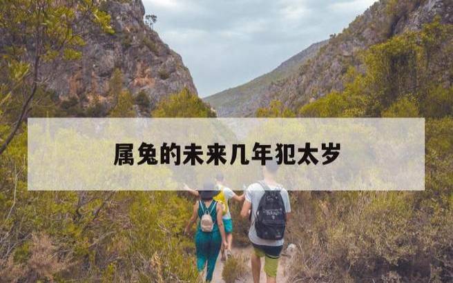 2025属兔人全年运势如何 2025属兔人全年运势如何