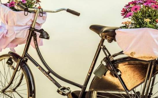 测试你的生活态度 测试你的生活态度