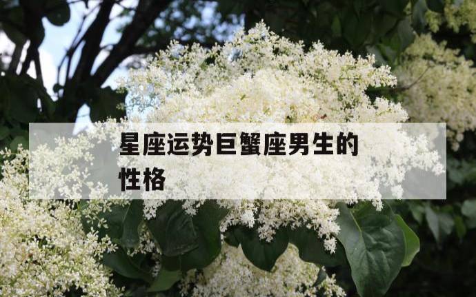 巨蟹座男人性格特征分析，巨蟹座男生的爱情观