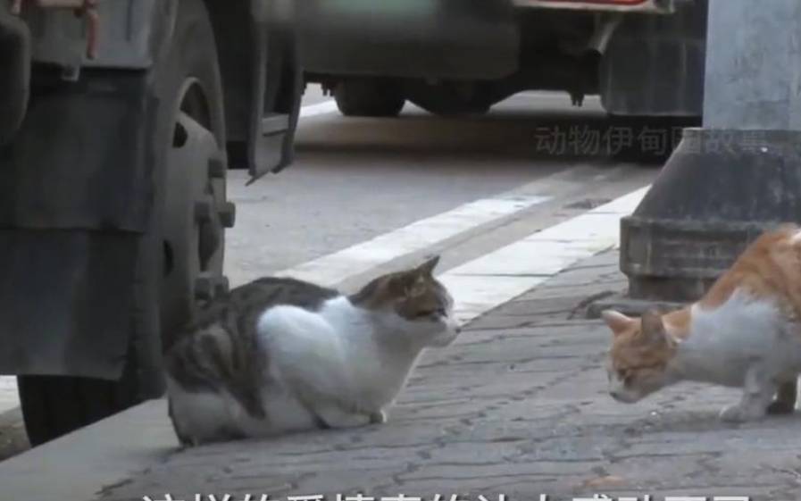 什么样的人爱情总是撞车