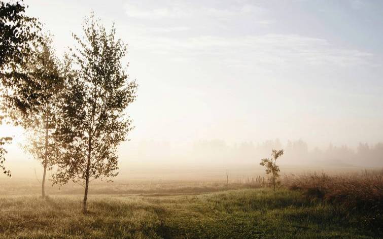 生辰八字,2019年2月24号出生的女宝宝怎么样起名字 生辰八字,2019年2月24号出生的女宝宝怎么样起名字