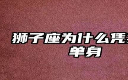 狮子座网路爱情
