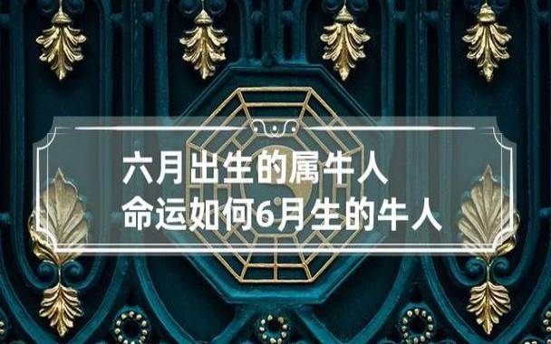 夏天出生的属牛人命运分析 夏天出生的属牛人命运分析